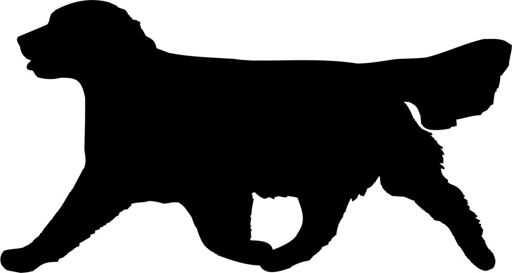 Golden Retriever Clipart Silhouette Clip For Free Download And Use 1000x534 Golden Retriever Clipart Silhouette Clip For Free Download And Use