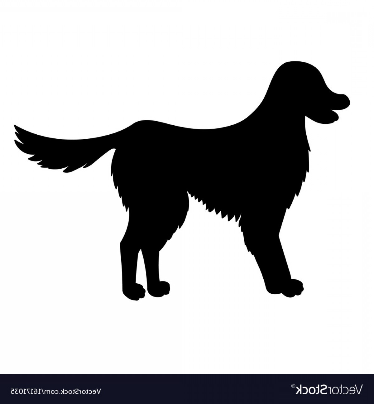 Silhouette Of Golden Retriever Isolated On White Vector Soidergi 1200x1296 Silhouette Of Golden Retriever Isolated On White Vector Soidergi