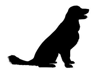 Golden Retriever Silhouette 340x270 Golden Retriever Silhouette