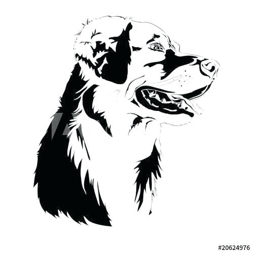 Golden Retriever Silhouette 500x500 Golden Retriever Silhouette