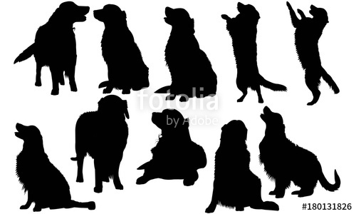 500x300 Golden Retriever Dog Silhouette Vector Graphics Stock Image