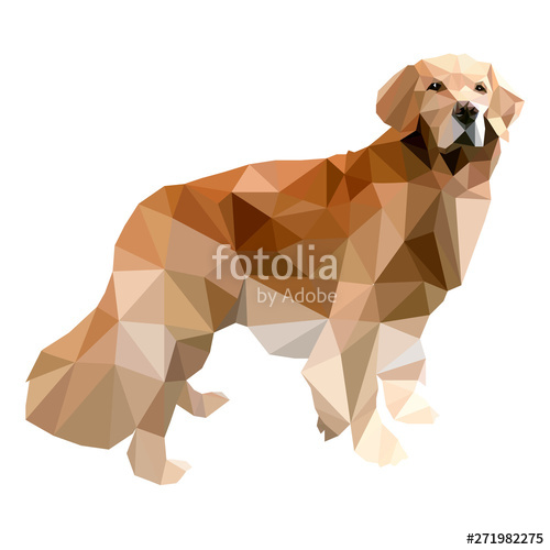 500x500 Golden Retriever Low Poly Polygon Stock Image And Royalty Free