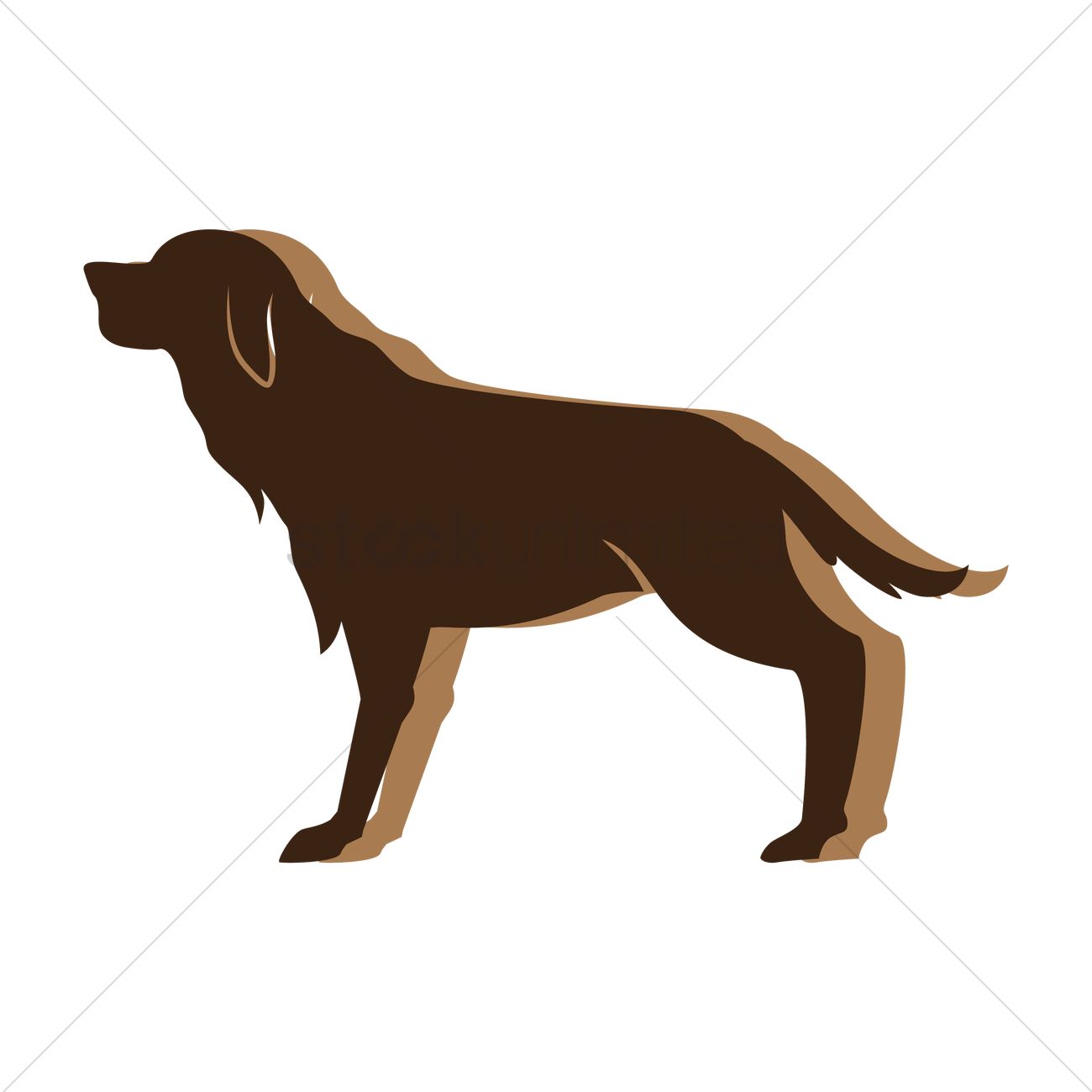 1300x1300 Golden Retriever Vector Image