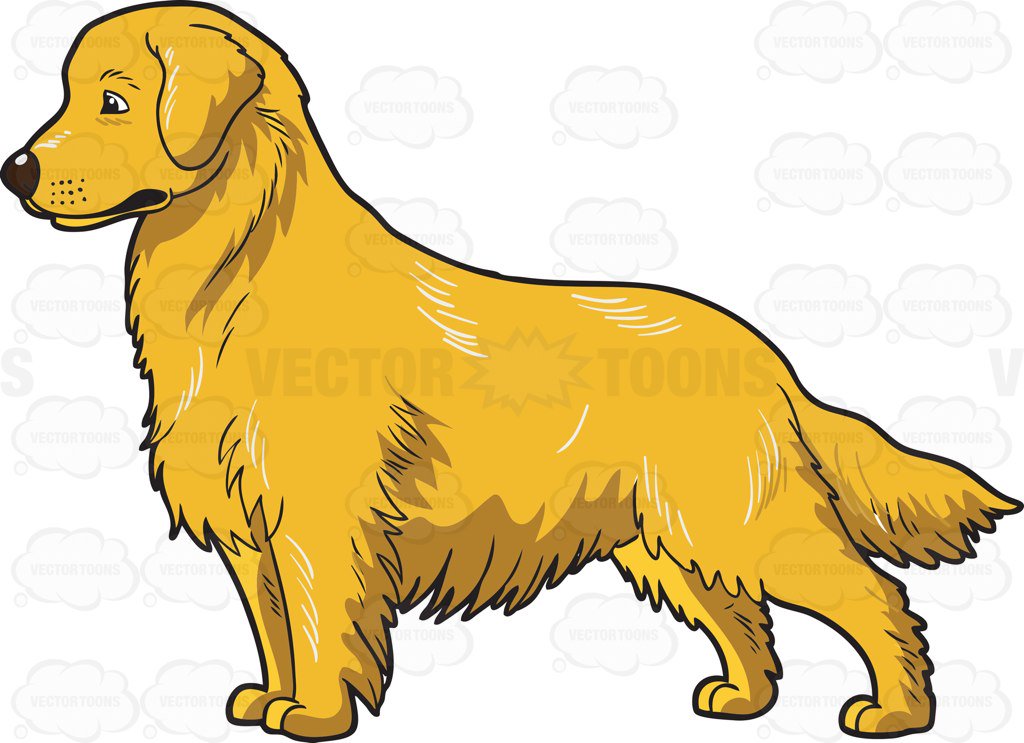 1024x743 Golden Retriever Clipart Vector For Free Download And Use Images
