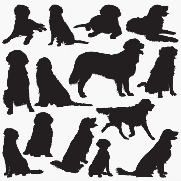 626x626 Golden Retriever Silhouettes Vector Premium Download