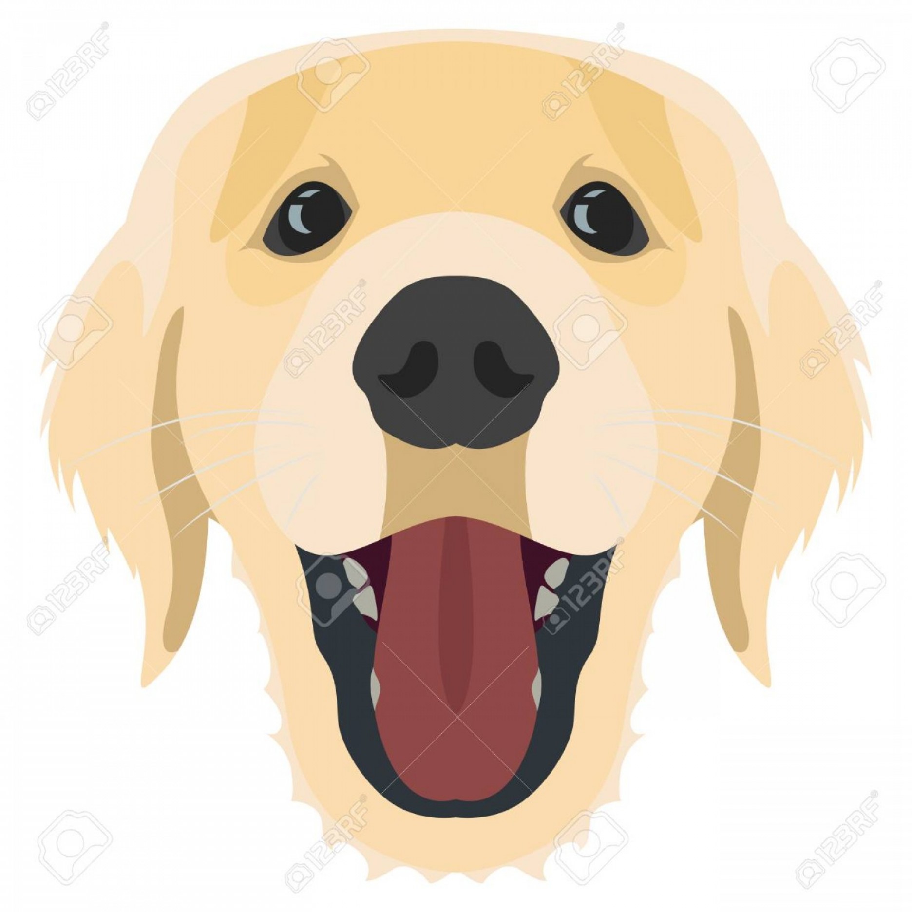 1872x1872 Photostock Vector Golden Retriever For Graphic Design Studiogrfx