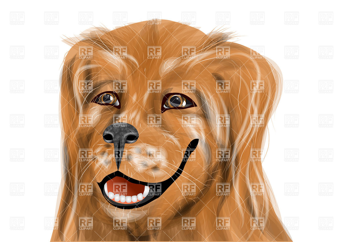 1200x849 Portrait Of Golden Retriever
