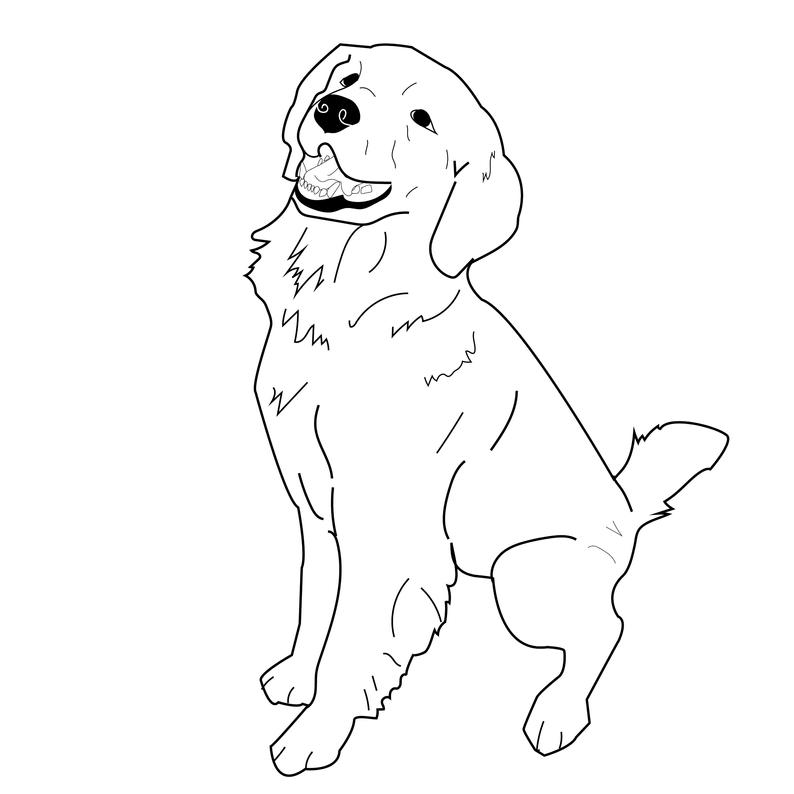 794x794 Sitting Golden Retriever Vector Dog Illustration Cute Etsy