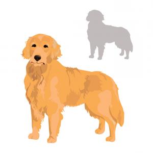 300x300 Stock Illustration Golden Retriever Dog White Background Vector