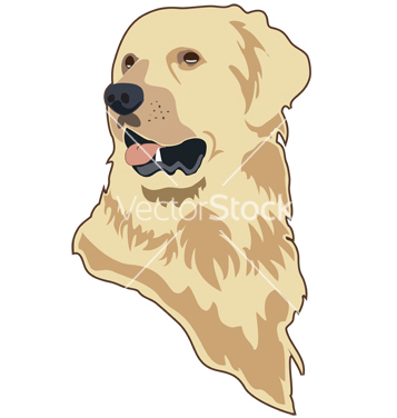 357x376 Free Golden Retriever Vector Free Vector Download Cannypic