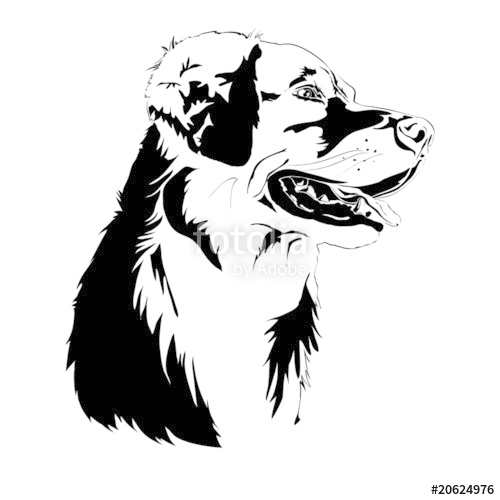 500x500 Golden Retriever