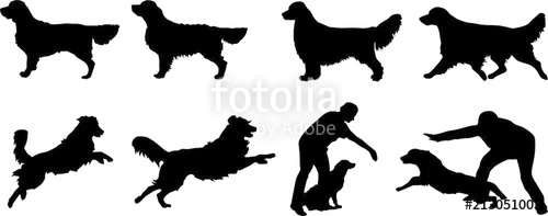 500x197 Golden Retriever