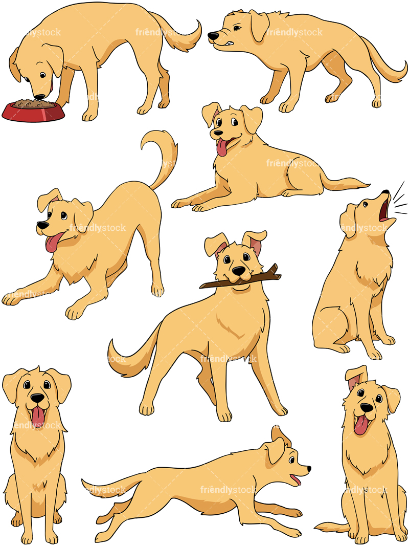 800x1067 Golden Retriever Clipart