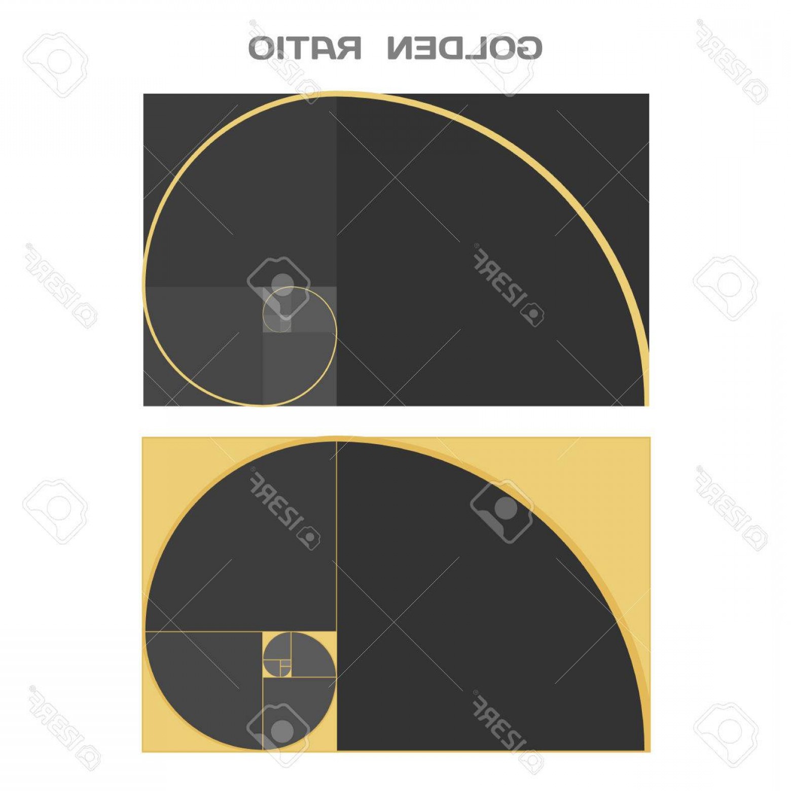 1560x1560 Photostock Vector Business Card Template Golden Ratio Divine