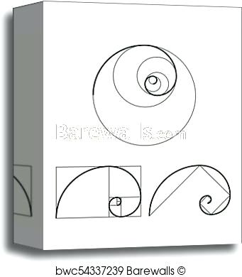 341x390 Golden Ratio In Graphic Design