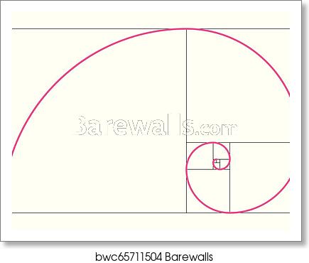 435x370 Golden Ratio Geometric Concept Pink Fibonacci Spiral Vector