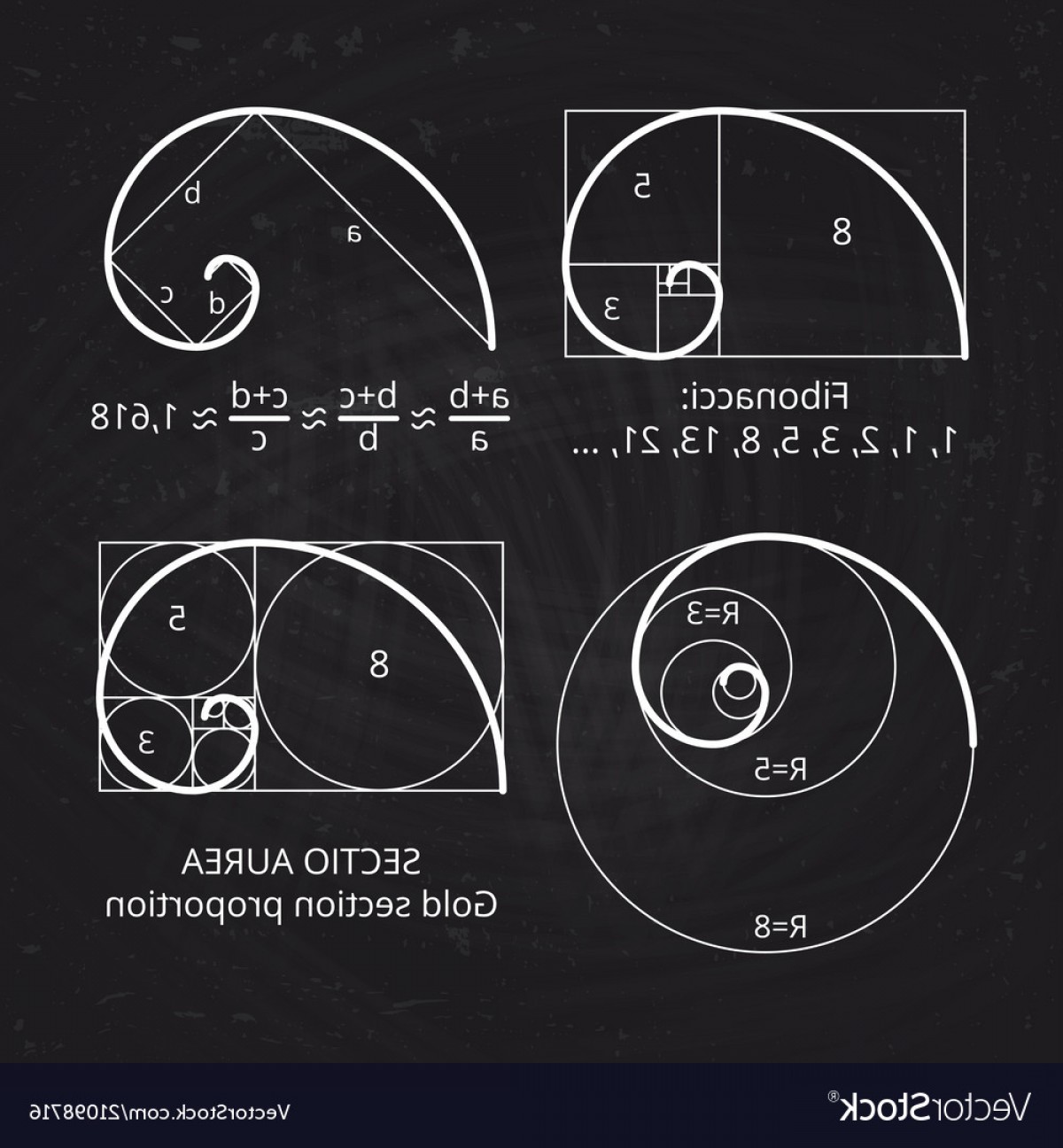 Golden Spiral Vector at Vectorified.com | Collection of Golden Spiral ...