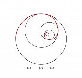 170x162 Vector Golden Ratio Fibonacci Ideal Proportion Sections, Divinity