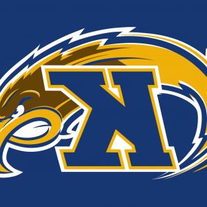 Golden State Warriors Nba Western Conference Champions Createmepink 300x300 Golden State Warriors Nba Western Conference Champions Createmepink