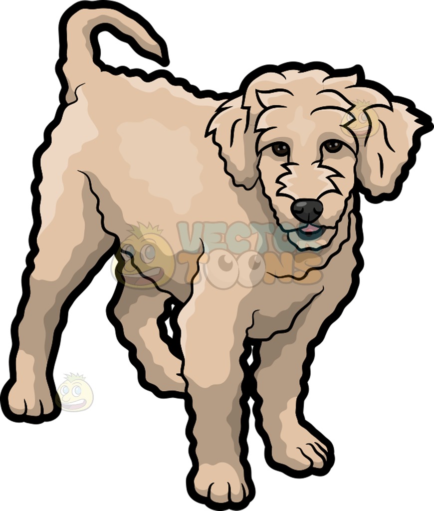 870x1024 Doodle Dog Clipart