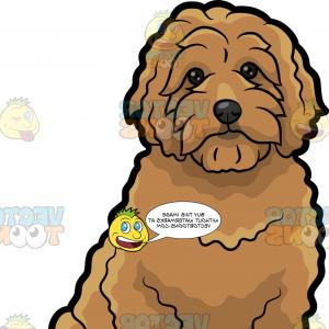 300x300 Golden Doodle Png Dxf Dog Breed Hoodamathrun