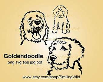 340x270 Goldendoodle Vector Etsy