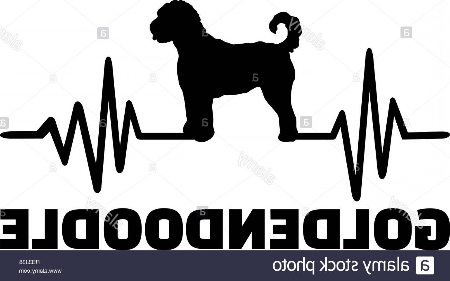 1560x976 Heartbeat Pulse Line With Goldendoodle Dog Silhouette Image
