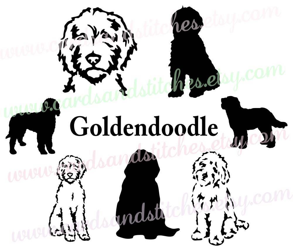 Goldendoodle Vector at Vectorified.com | Collection of Goldendoodle