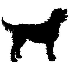 Download Goldendoodle Vector at Vectorified.com | Collection of ...