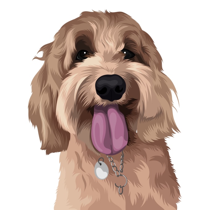 Goldendoodle Vector At Collection Of Goldendoodle