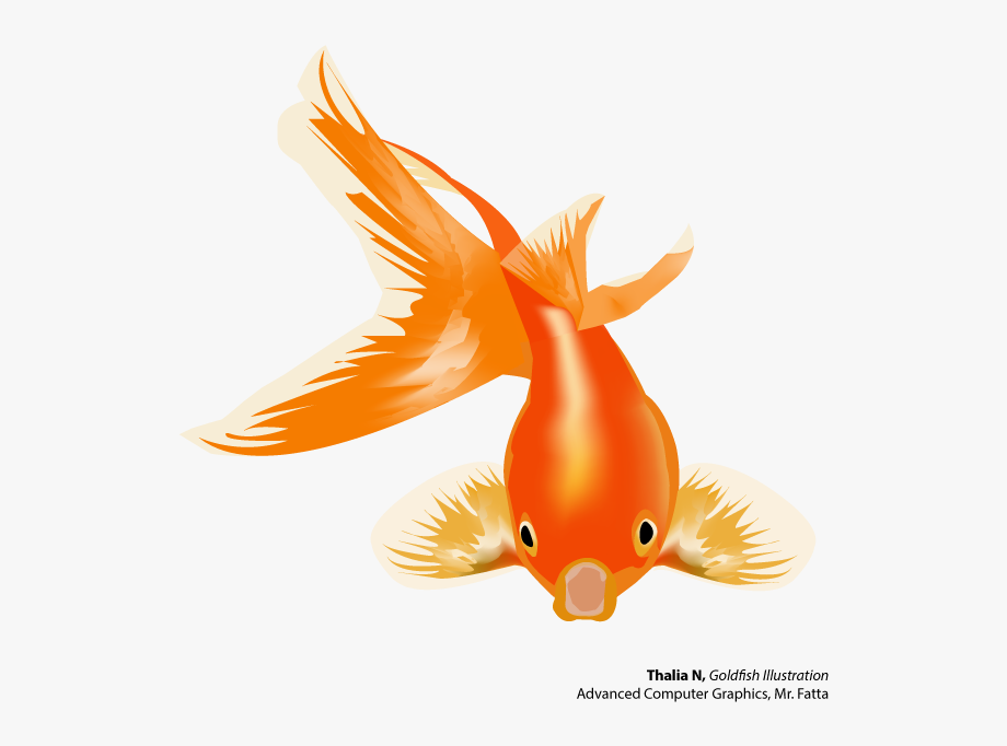 920x682 Goldfish Vector Bowl Clipart