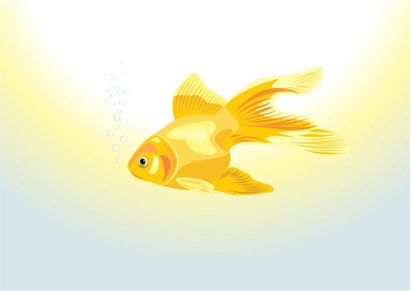 600x424 Goldfish Vector Free Vector In Encapsulated Postscript