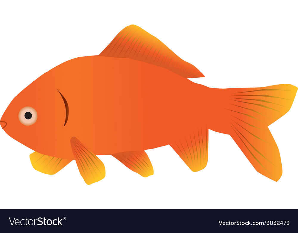 1000x780 Goldfish Vector Download