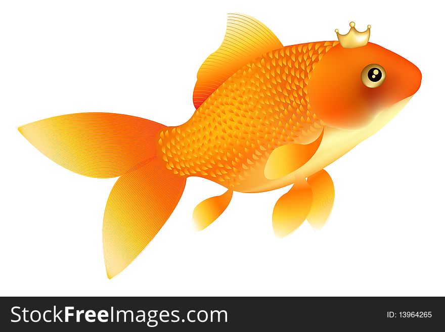 880x657 Goldfish Vector