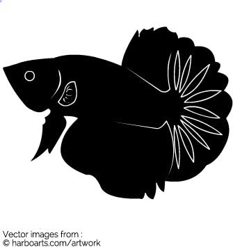 335x355 Download Goldfish