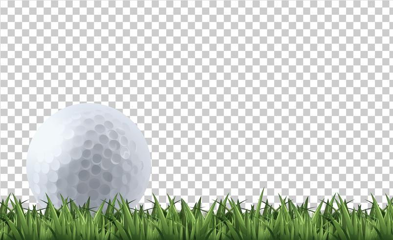 804x490 Golf Ball On Grass