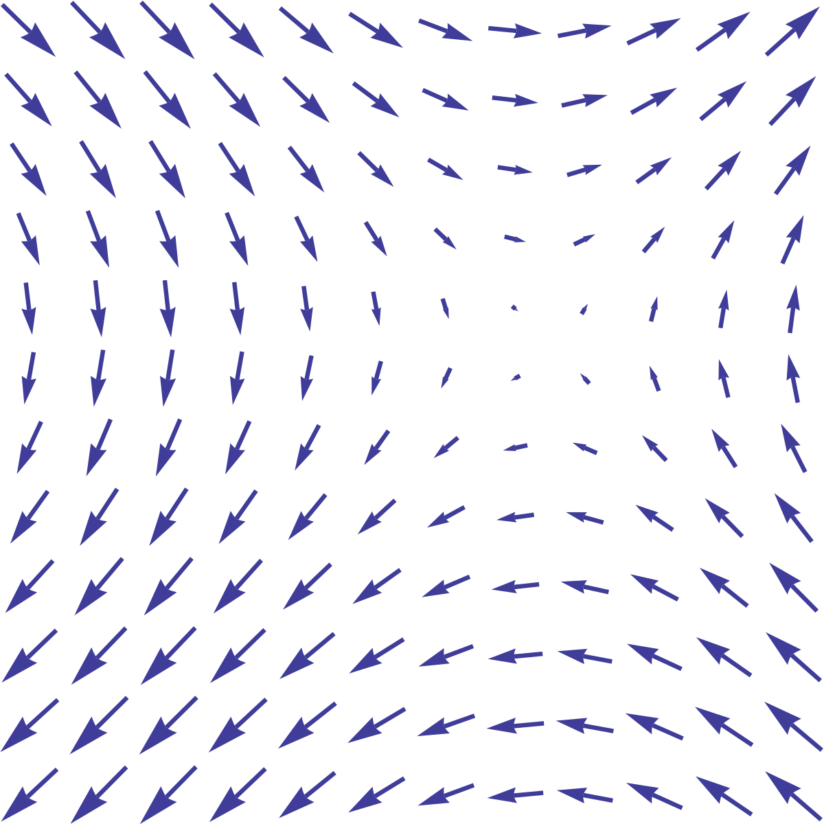 Vector Field 1200x1200 Vector Field
