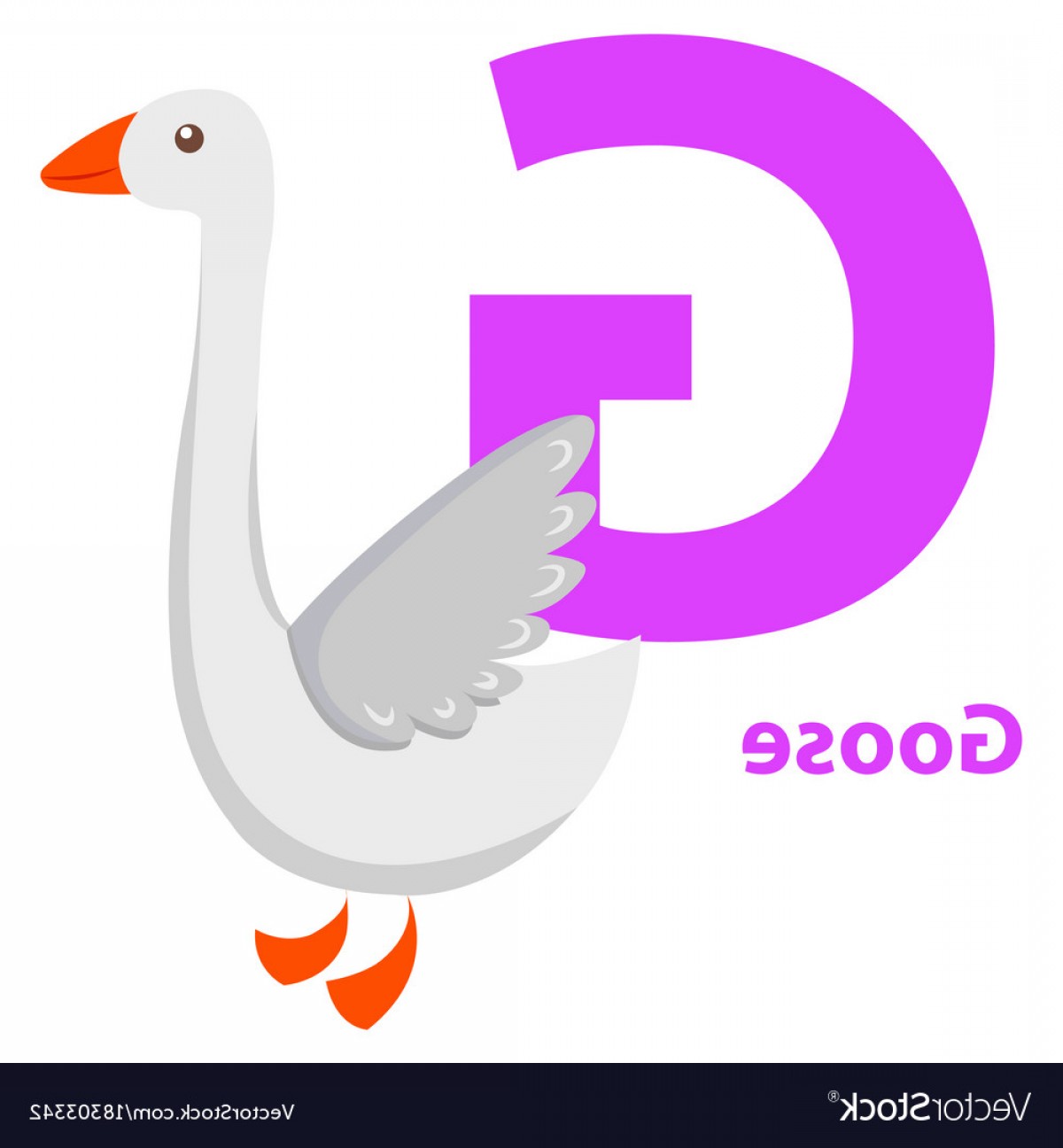 1200x1296 White Goose With Purple Character G On Abc Card Vector Geekchicpro