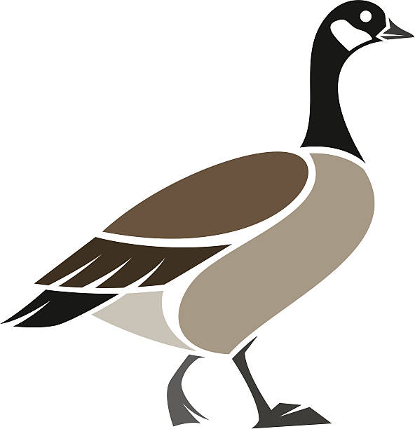 Goose Vector