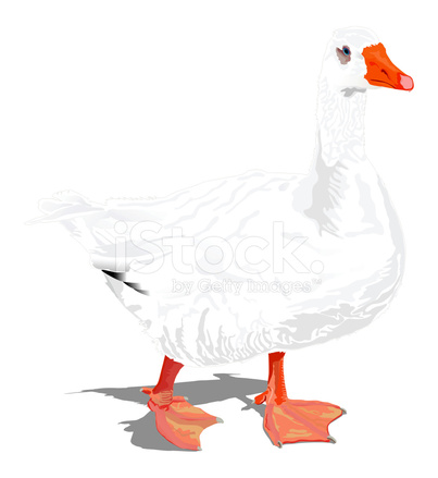 403x439 Goose
