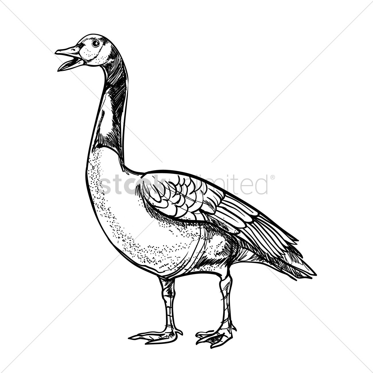 1300x1300 Goose Vector Image