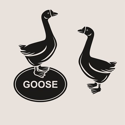 416x416 Goose Vector Premium Clipart