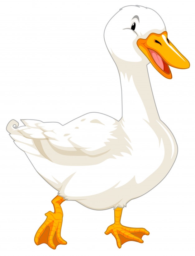 626x818 Goose Vectors, Photos And Free Download