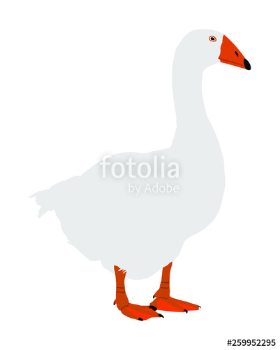 401x500 Goose Vector Illustration Isolated On White Background White