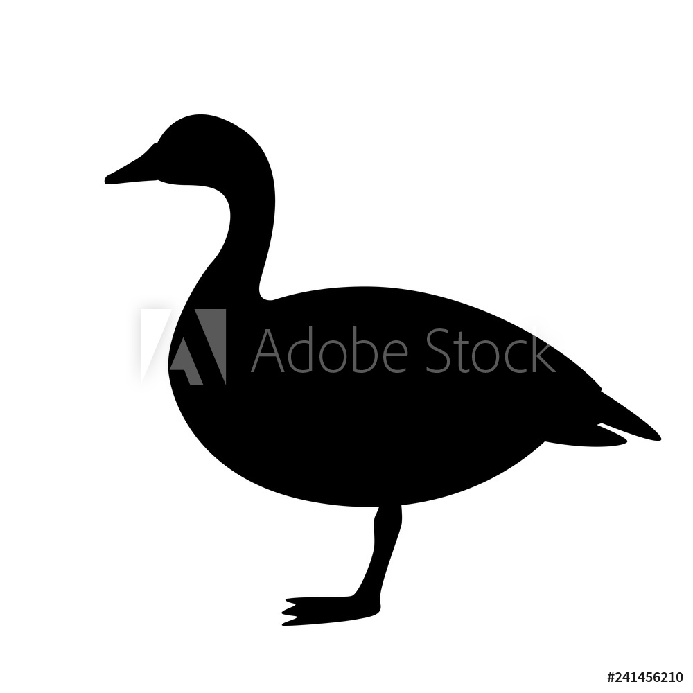 1000x1000 Photo Art Print Canadian Goose, Vector Illustration Black