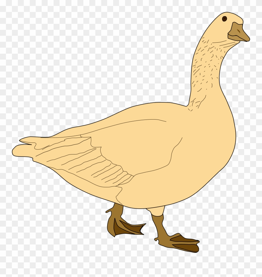 880x929 Sparknotes Yellow Wallpaper