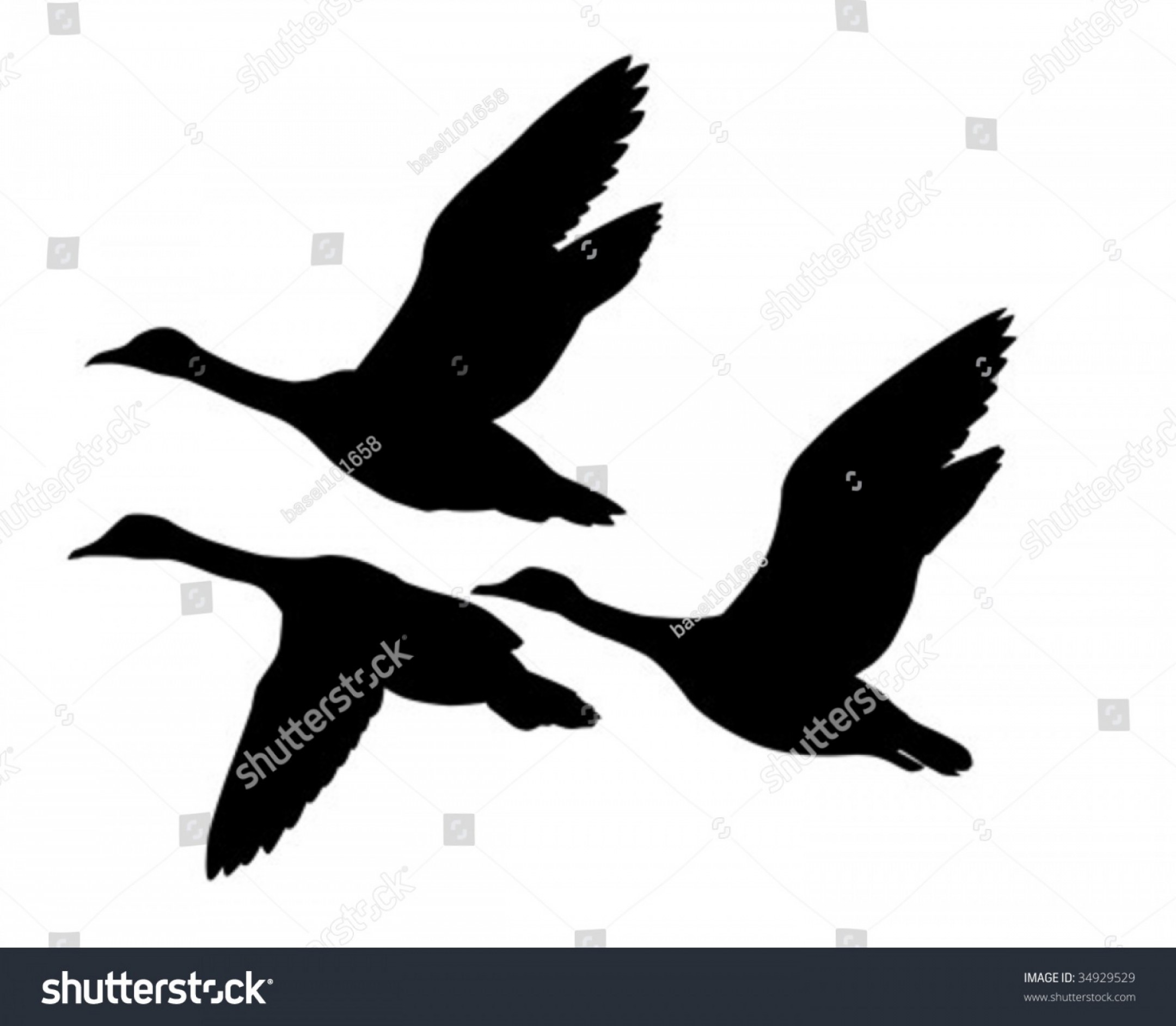 2160x1884 Vector Silhouette Flying Geese On White Soidergi