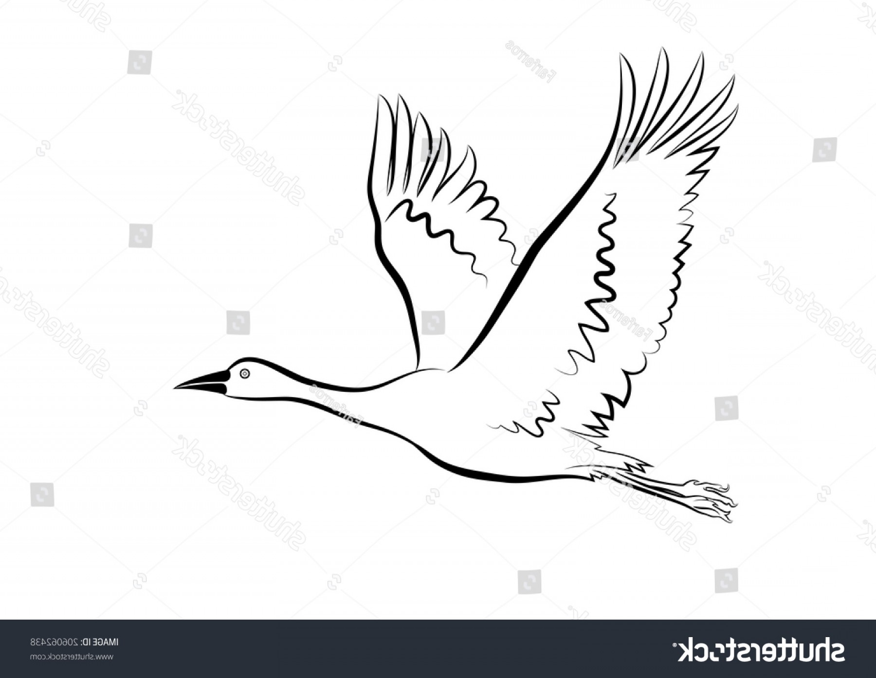 1800x1393 Vector Sketch Flying Goose On White Soidergi