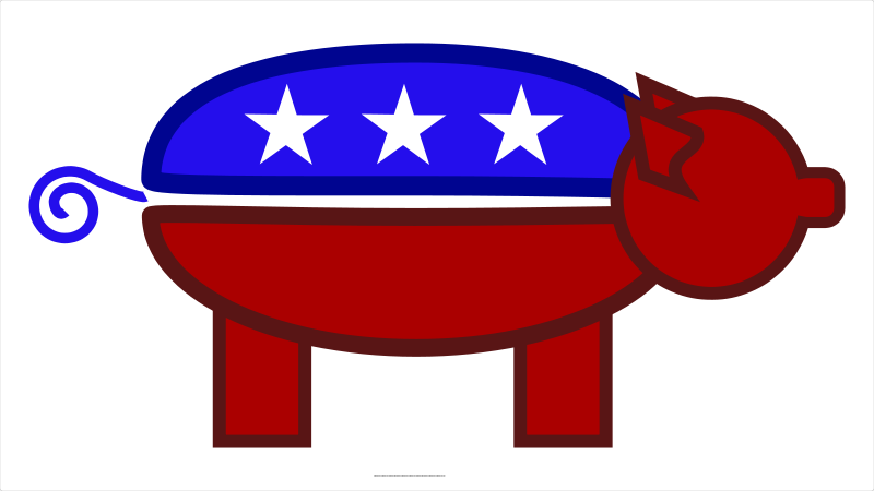 800x450 Gop Pig