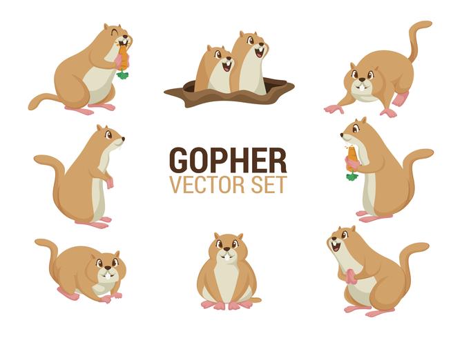 669x490 Gopher Cartoons Vector